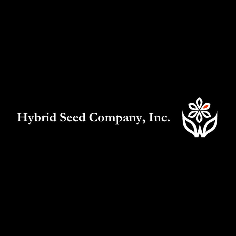 Hybrid Seed Company