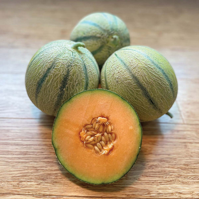 Melon
