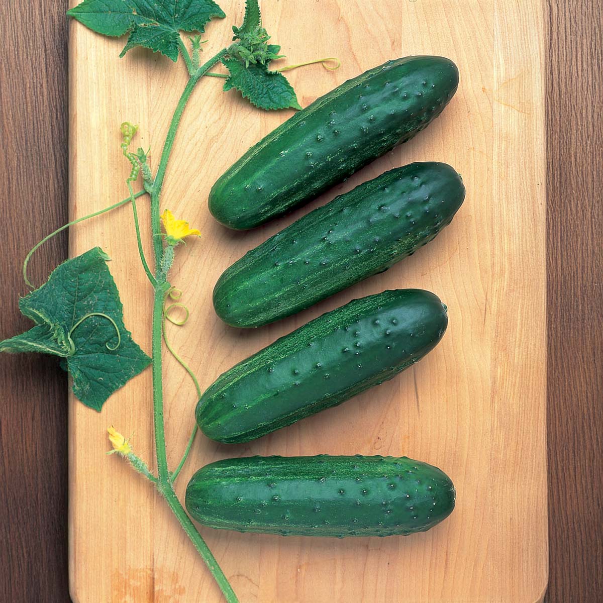 Cucumber Cross Country
