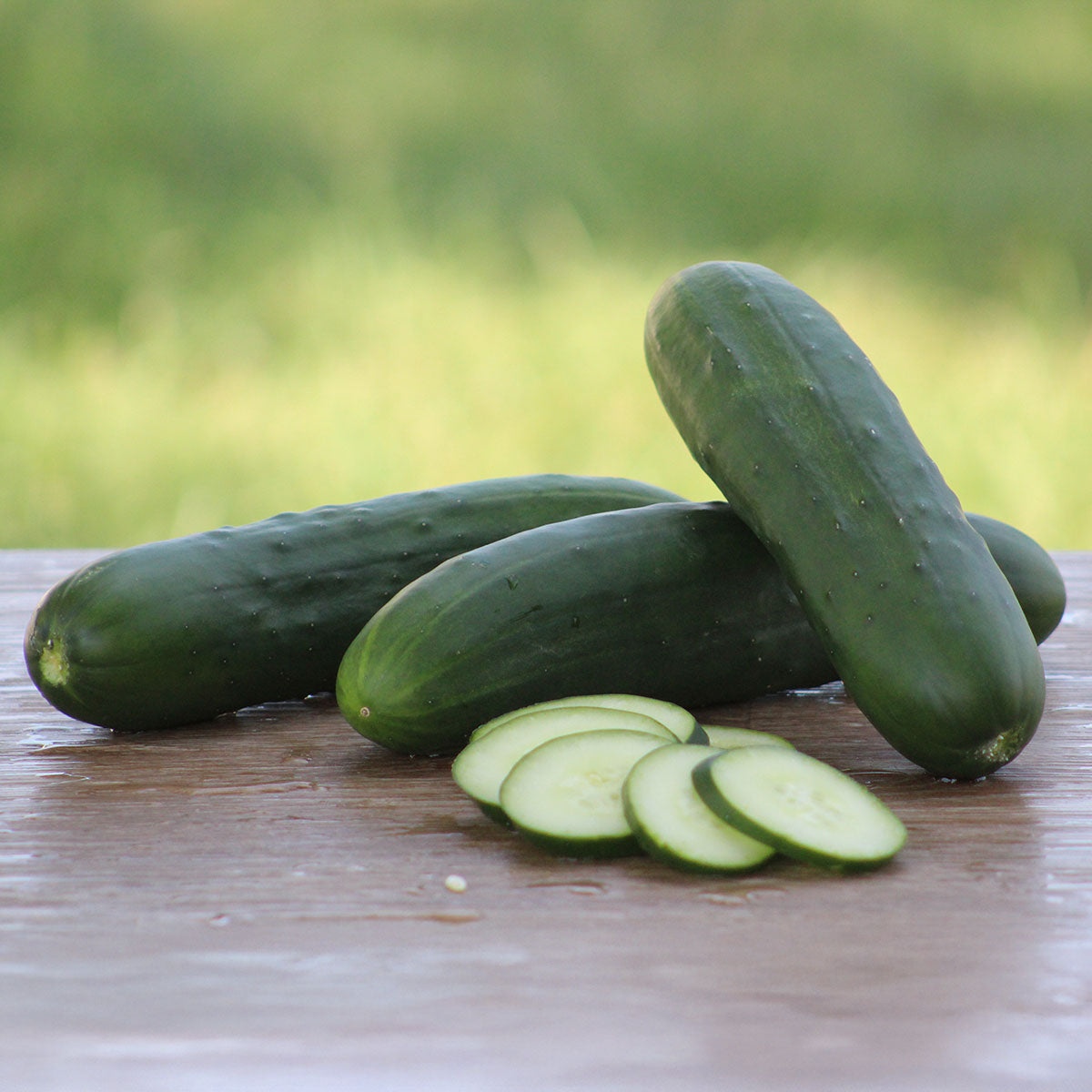 Cucumber Raider