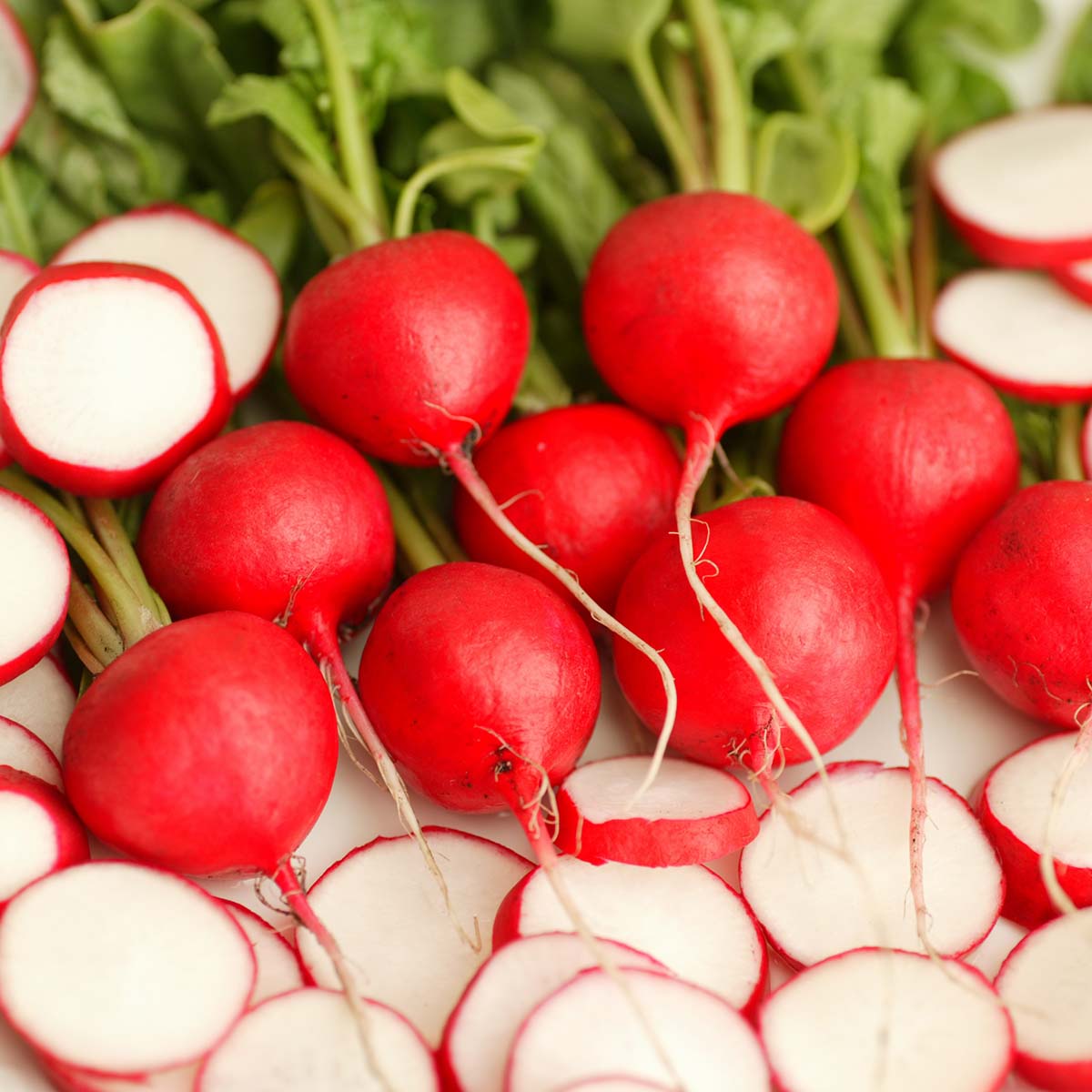 Radish Red Castle