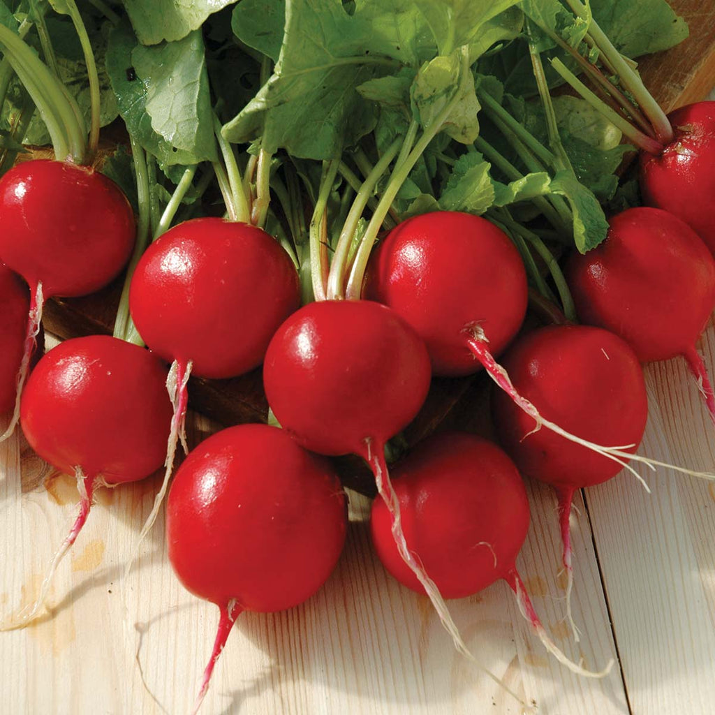 Radish Red Satin