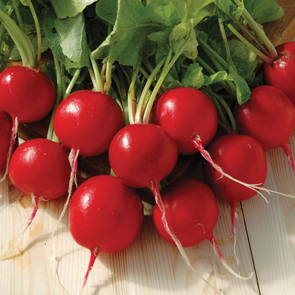 Radish Red Satin