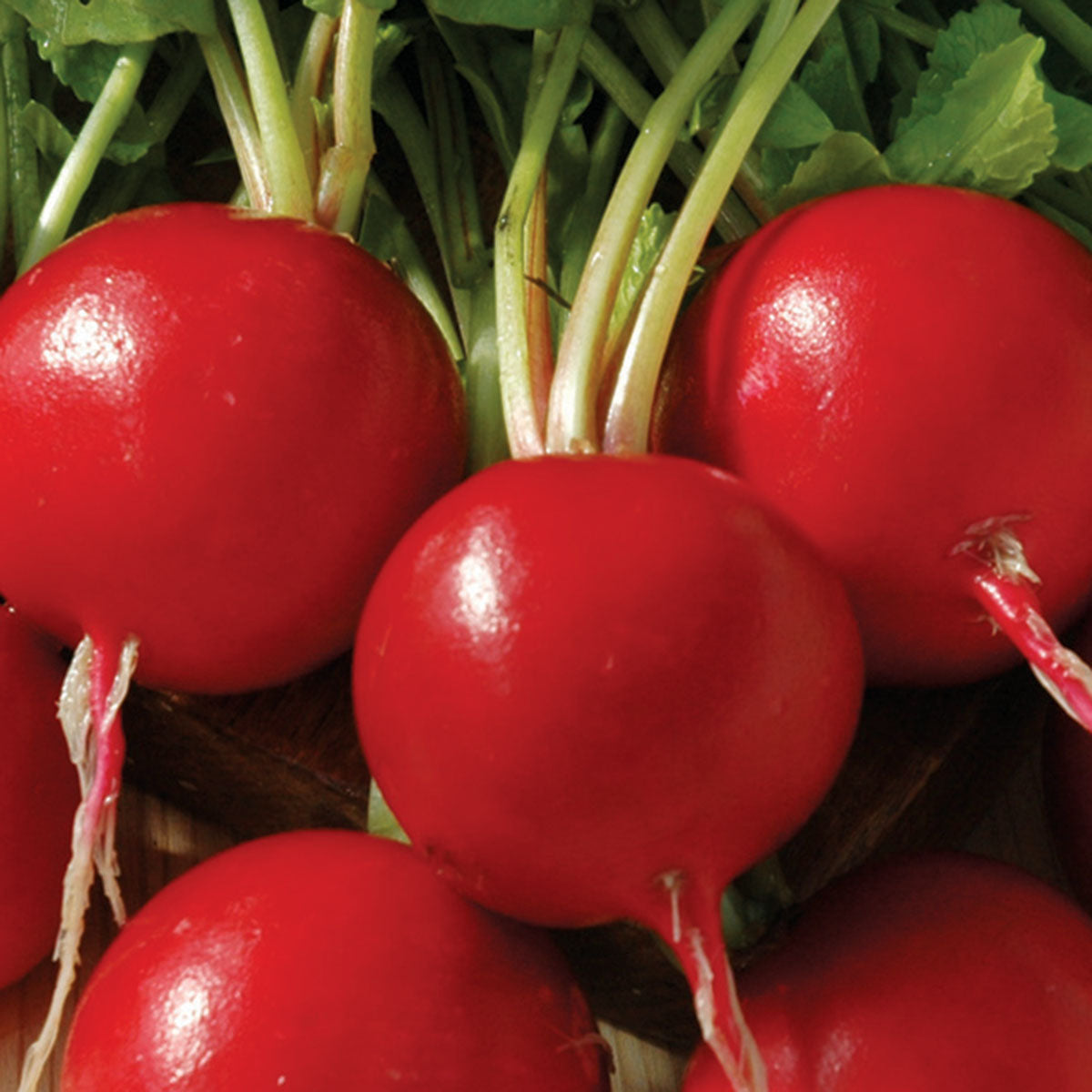 Radish Red Satin