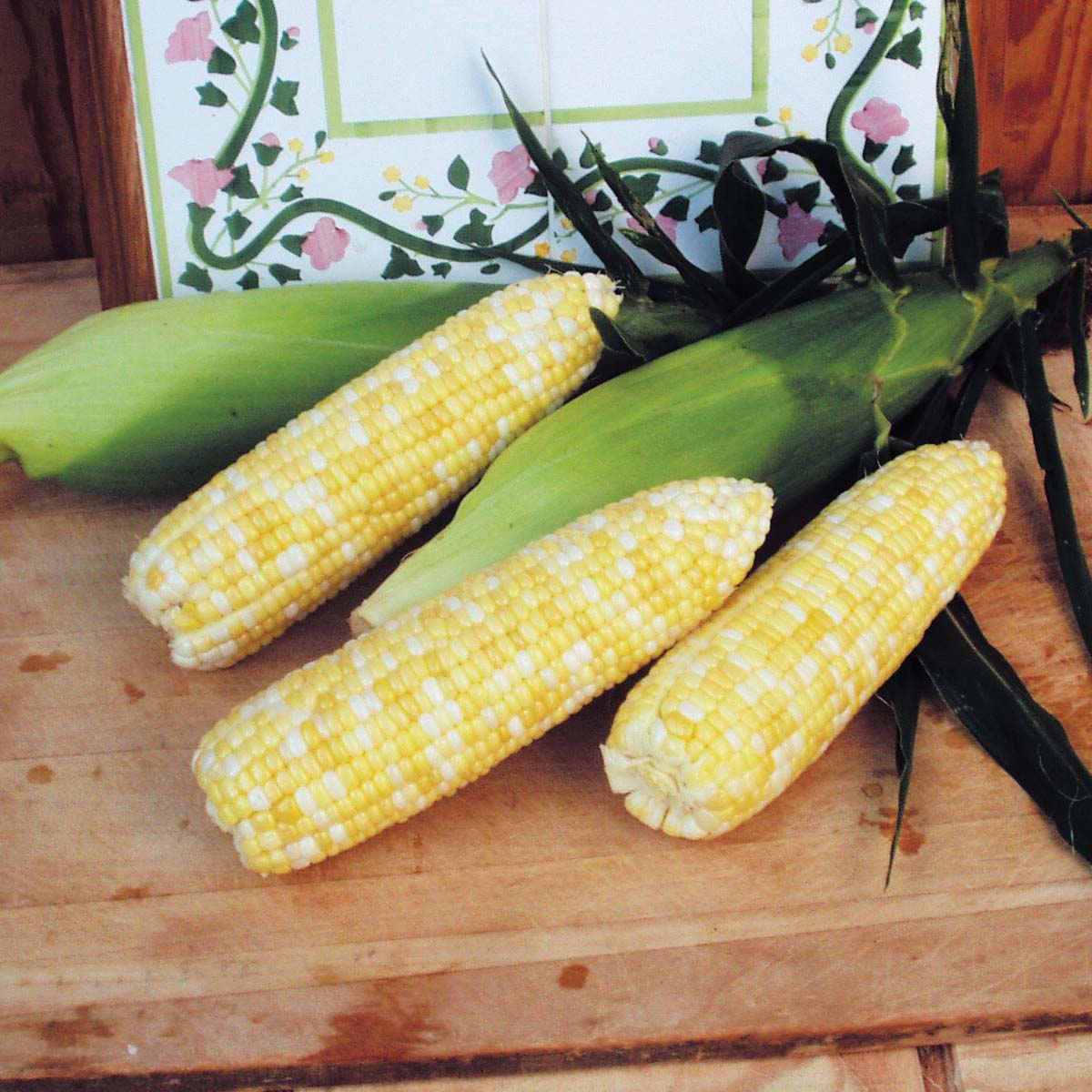 Sweet Corn Montauk