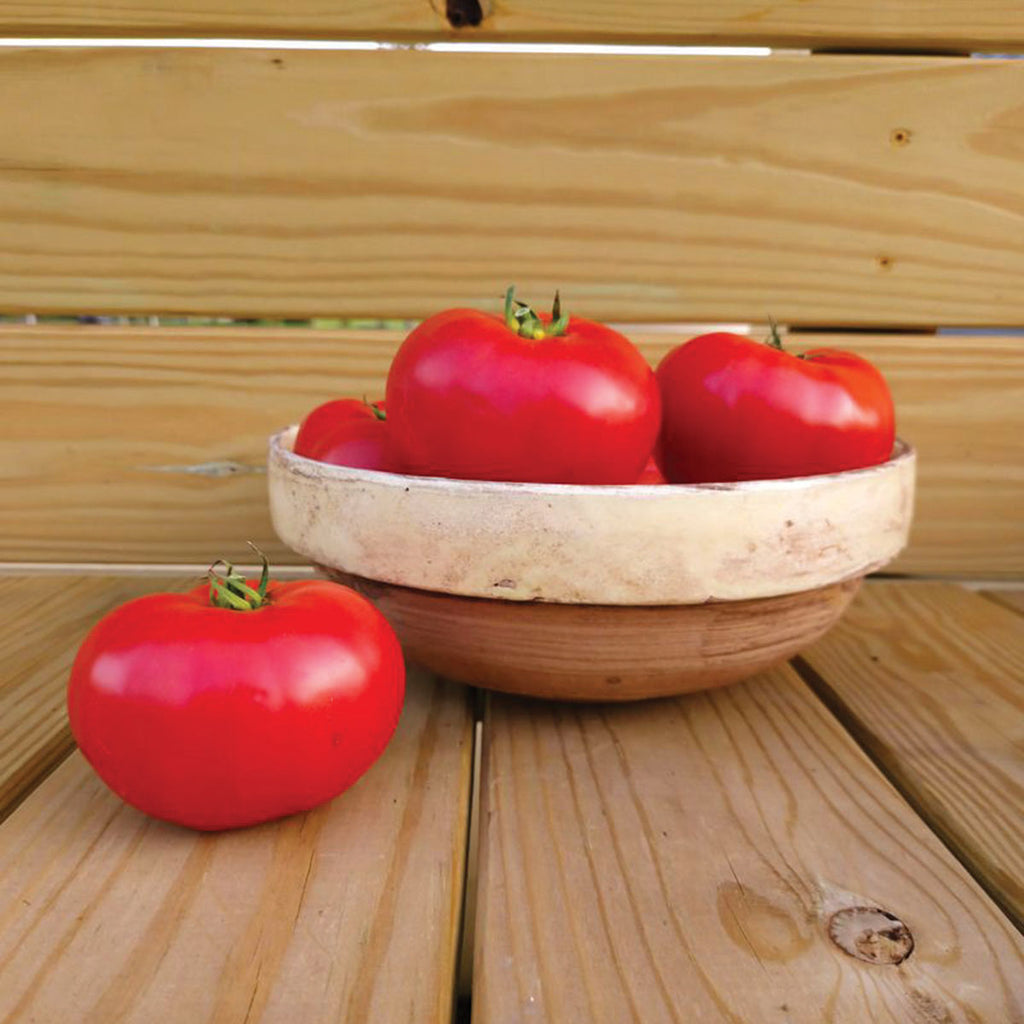 Tomato Contessa
