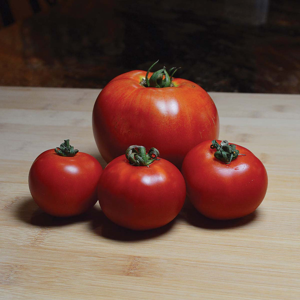 Tomato Red Racer